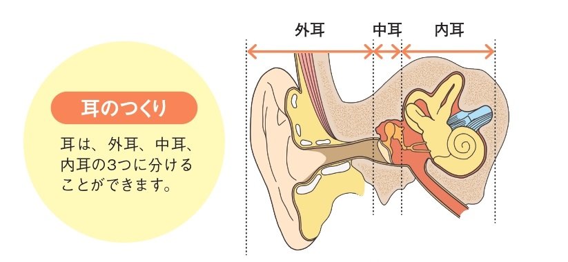 bb 販売 目眩