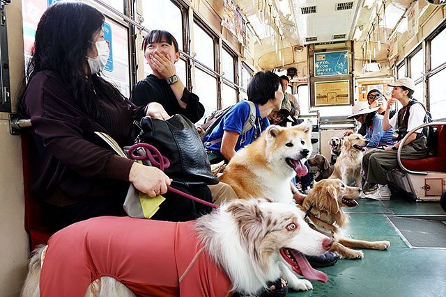 ワンちゃんと一緒に貸し切り路面電車 富山で愛犬とお出かけイベント、飼い主の夢実現（北日本新聞） - Yahoo!ニュース