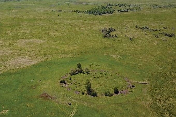 古代騎馬民族スキタイと関連 シベリアで見つかった2800年前の墳墓で生贄の人馬や馬具が出土（ARTnews JAPAN） - Yahoo!ニュース