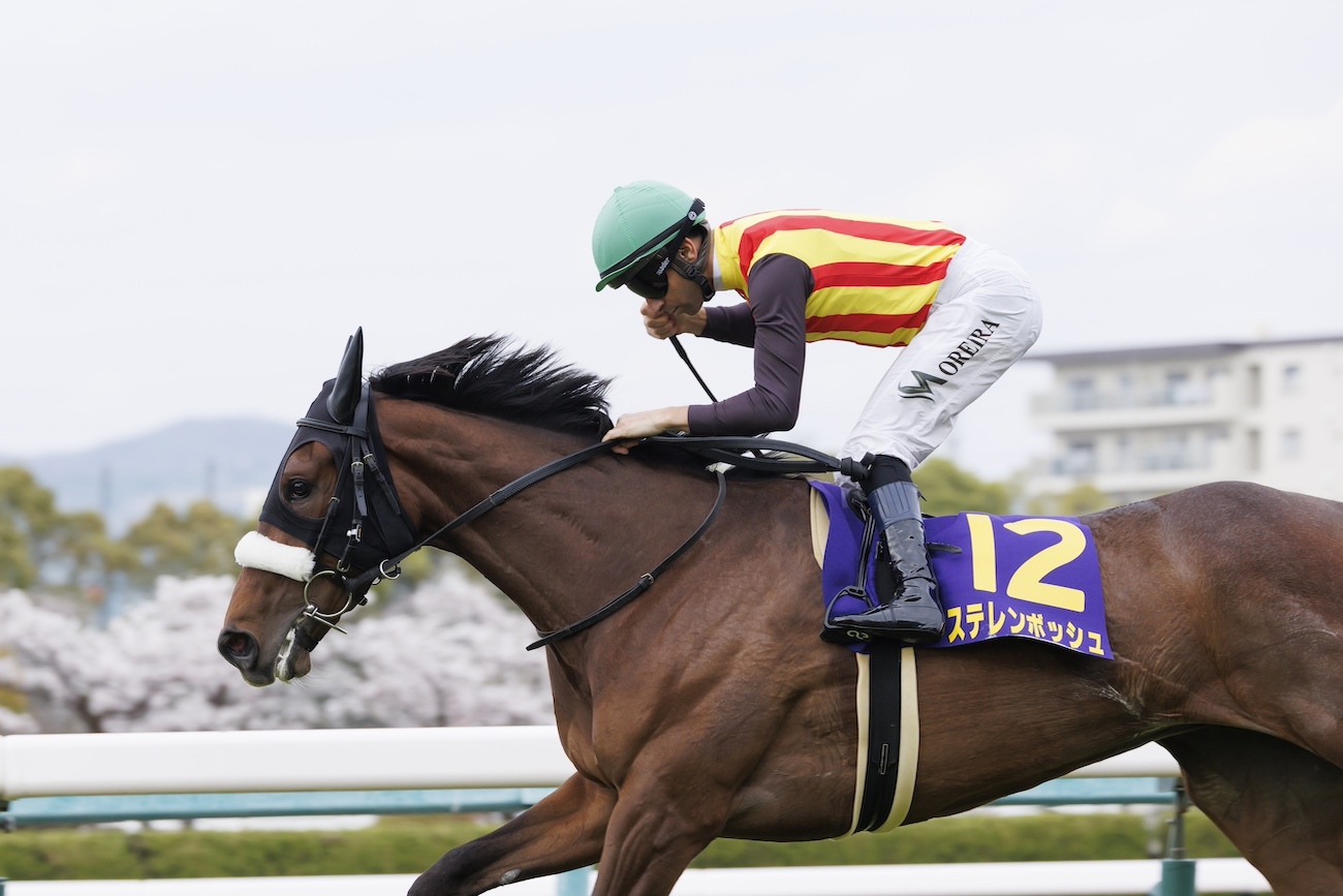 秋華賞から有馬記念まで。秋のG1“全11戦の勝ち馬”を元競馬誌編集長が最速予想（週刊SPA!） - Yahoo!ニュース