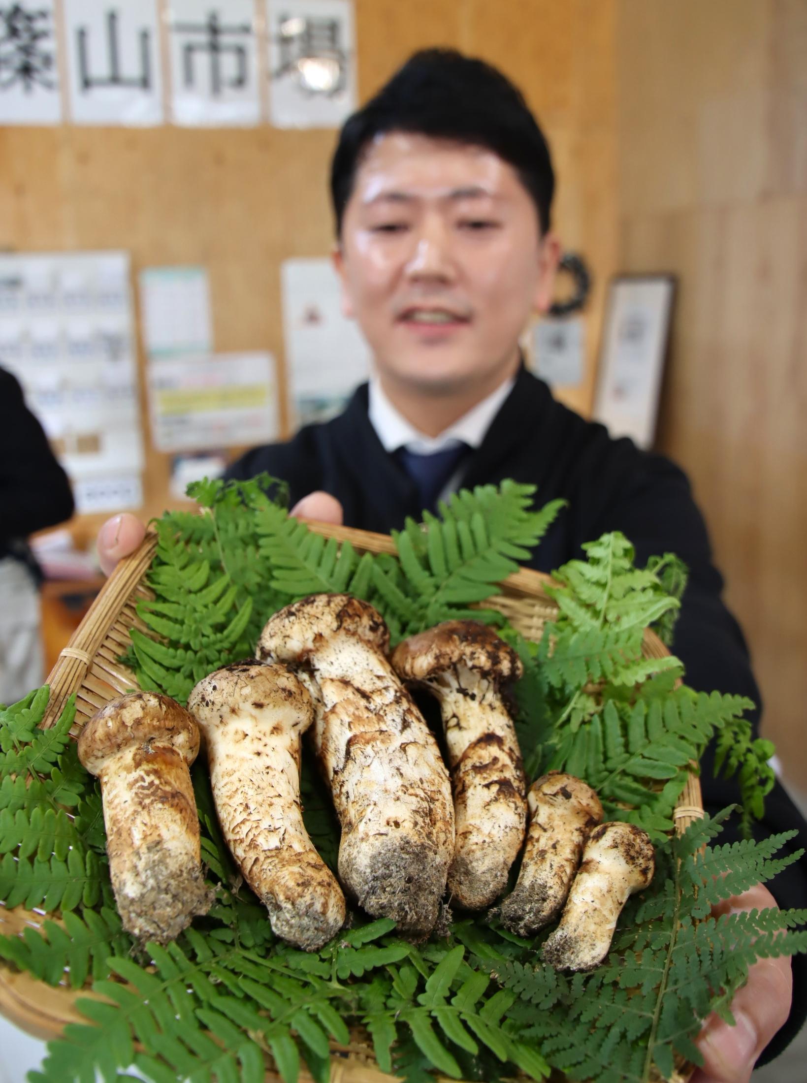 出ました「初松茸」 秋の王者「丹波松茸」産地で初競り 6本96万円と1本80万円で落札／兵庫・丹波篠山市（丹波新聞）