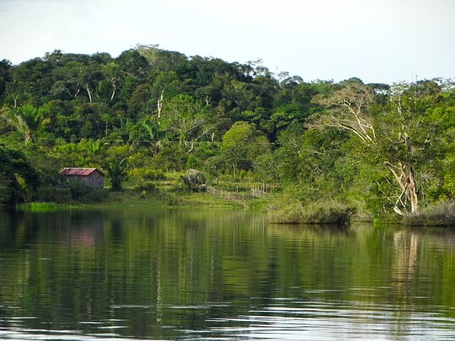 アマゾン川の支流で発見された19世紀の難破船