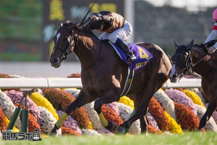 【菊花賞】9年ぶりに出現！15年1着キタサンブラック以来の快挙が期待できる1頭（競馬ラボ） - Yahoo!ニュース