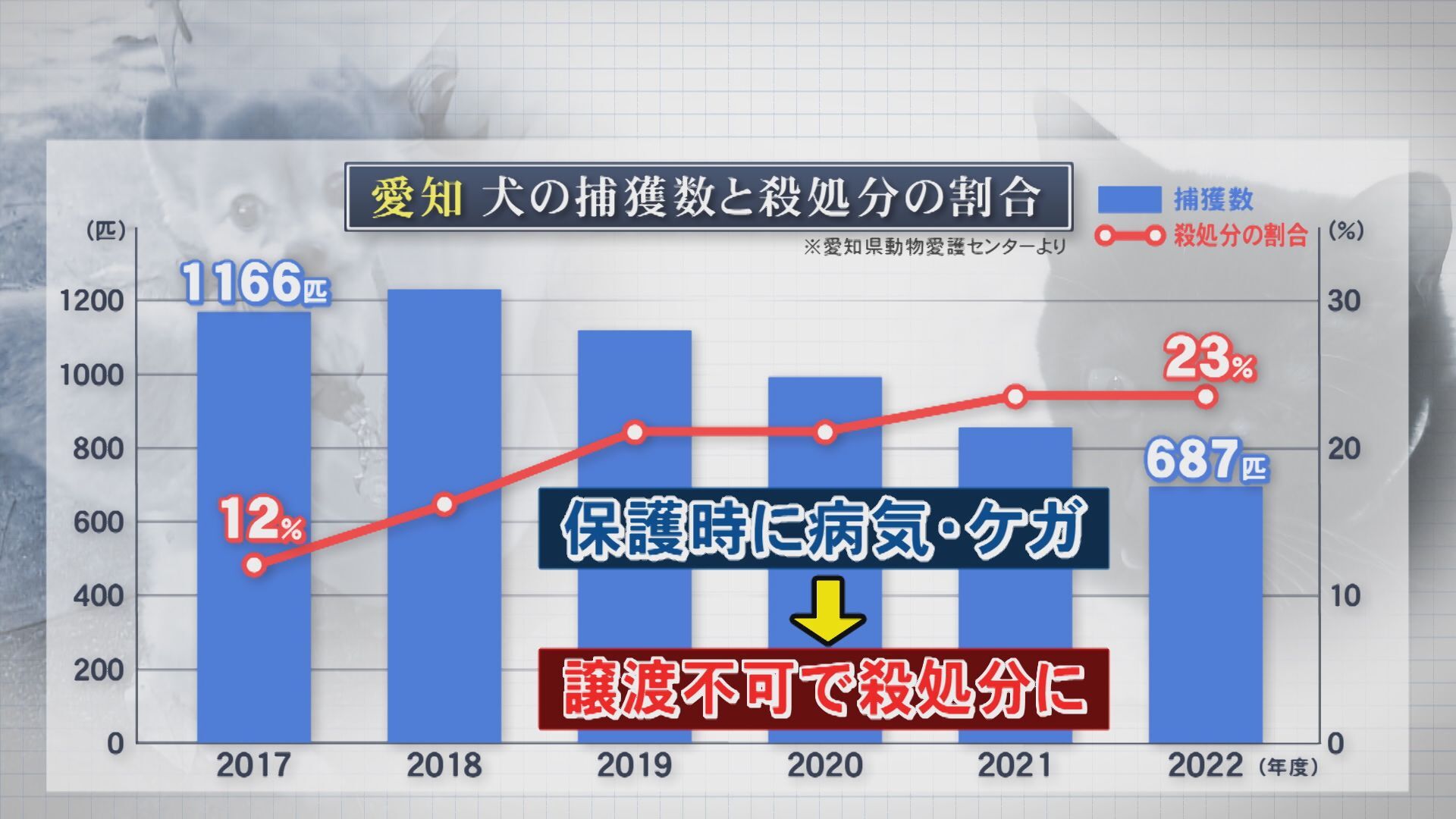 ペット 飼育放棄 数 トップ