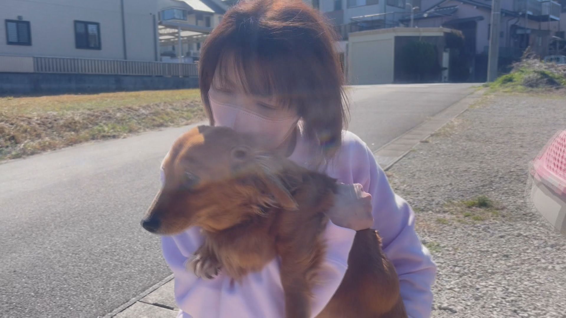 販売済み エッチのひとが犬のペットにされた