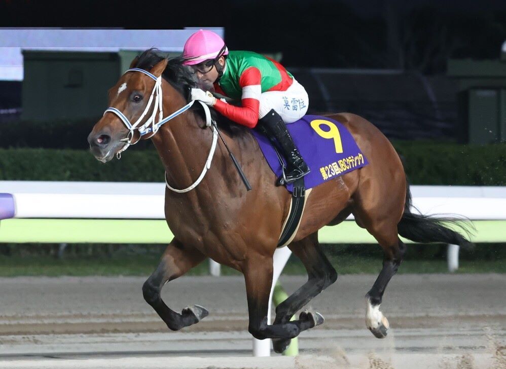 地方競馬】2024年JBC競走の選定馬決定 佐賀、門別で11月4日に開催（西スポレースサイト） - Yahoo!ニュース