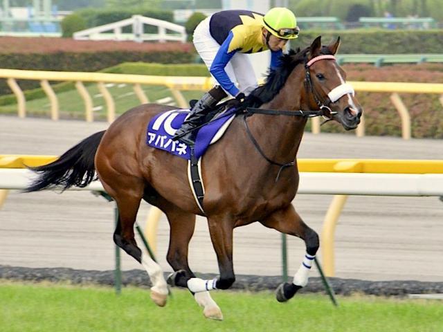 母は3冠牝馬、半姉もGI馬 超良血馬がC.デムーロ騎手で新馬勝ちなるか（netkeiba） - Yahoo!ニュース