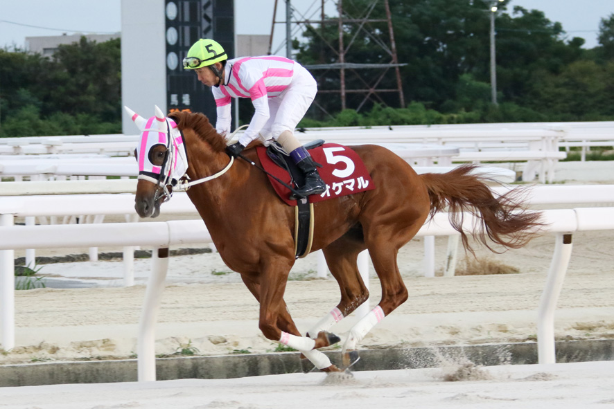 【ネクストスター園田】オケマルが無傷の三連勝…下原「ホッとした」（競馬のおはなし） - Yahoo!ニュース