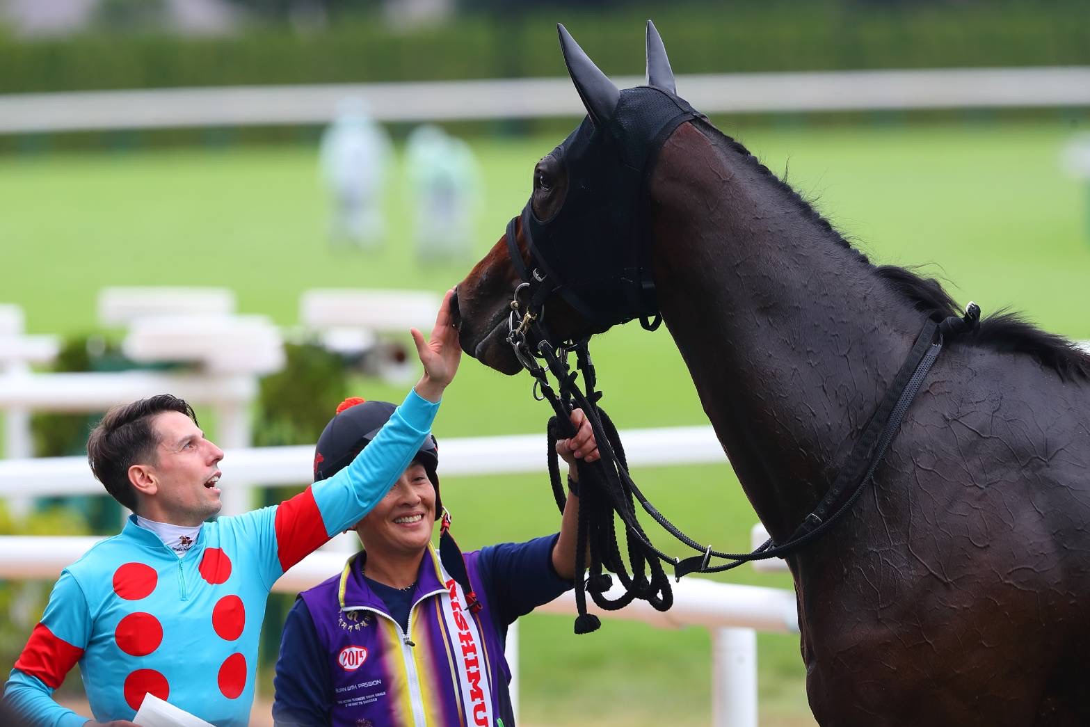 【新馬/京都4R】C.デムーロ騎乗 ヴィリアリートがデビューV…出遅れも関係なし（競馬のおはなし） - Yahoo!ニュース