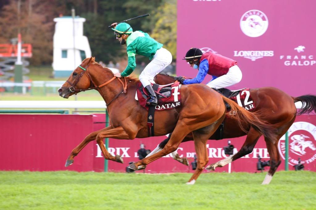 日本軽種馬協会が凱旋門賞馬・ソットサスなど新種牡馬3頭を導入（競馬のおはなし） - Yahoo!ニュース