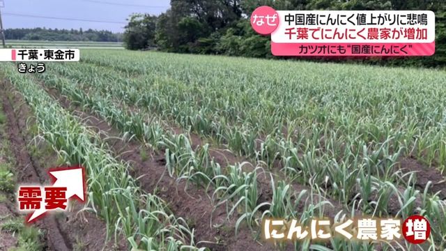 にんにく畑は宝の山” 日本各地で農家増 中国産は値上がりも（日テレNEWS NNN） - Yahoo!ニュース