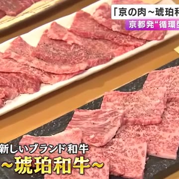 「京の肉～琥珀和牛～」京都初の”循環型”ブランド和牛(関西テレビ)