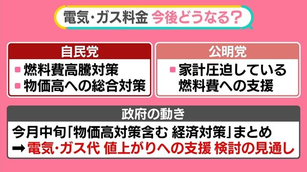 11月も値上げだらけ……電気・ガス代は882円増、政府の補助は