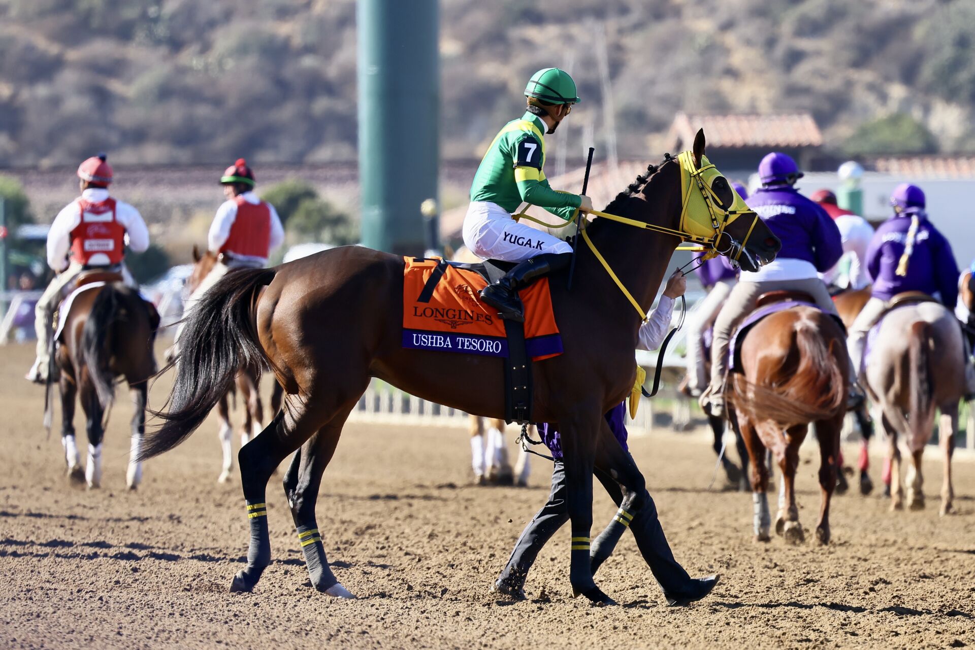 BCクラシック】川田「レース前まではとても良い雰囲気でした」ウシュバテソーロは10着（競馬のおはなし） - Yahoo!ニュース