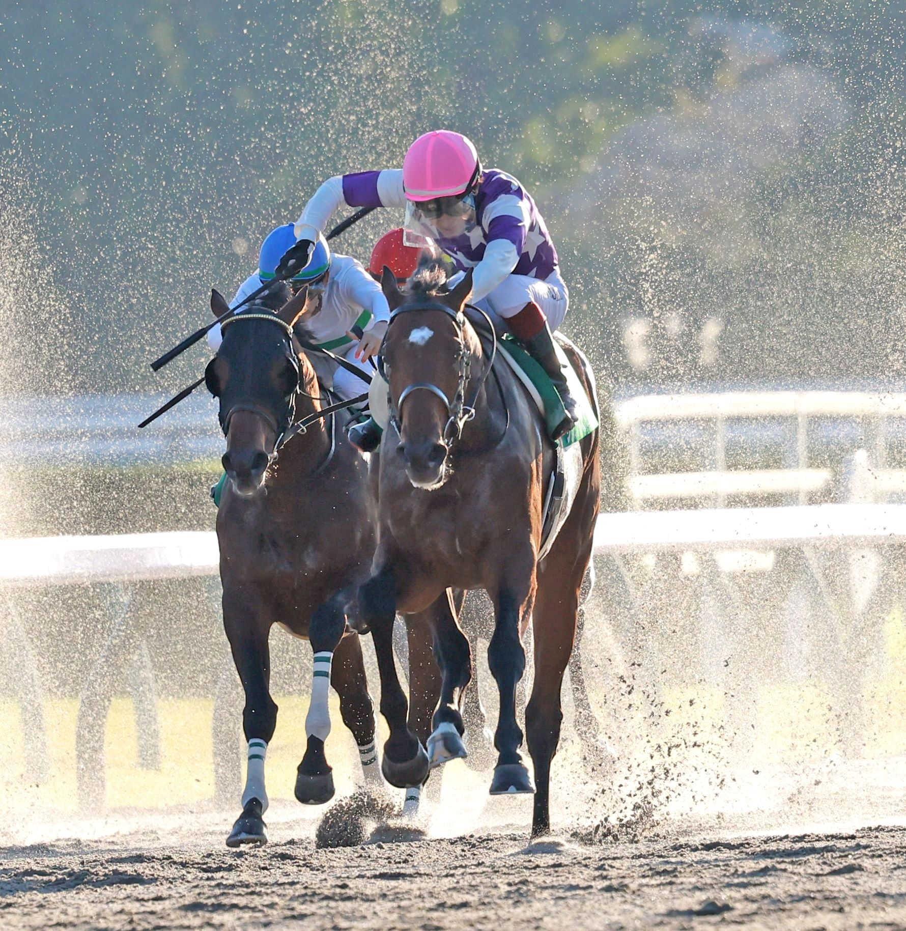 みやこＳ】３歳馬サンライズジパング “最強世代”一角が古馬撃破で大一番へ弾み 鮫島駿「非常にレベル高い」（デイリースポーツ） - Yahoo!ニュース