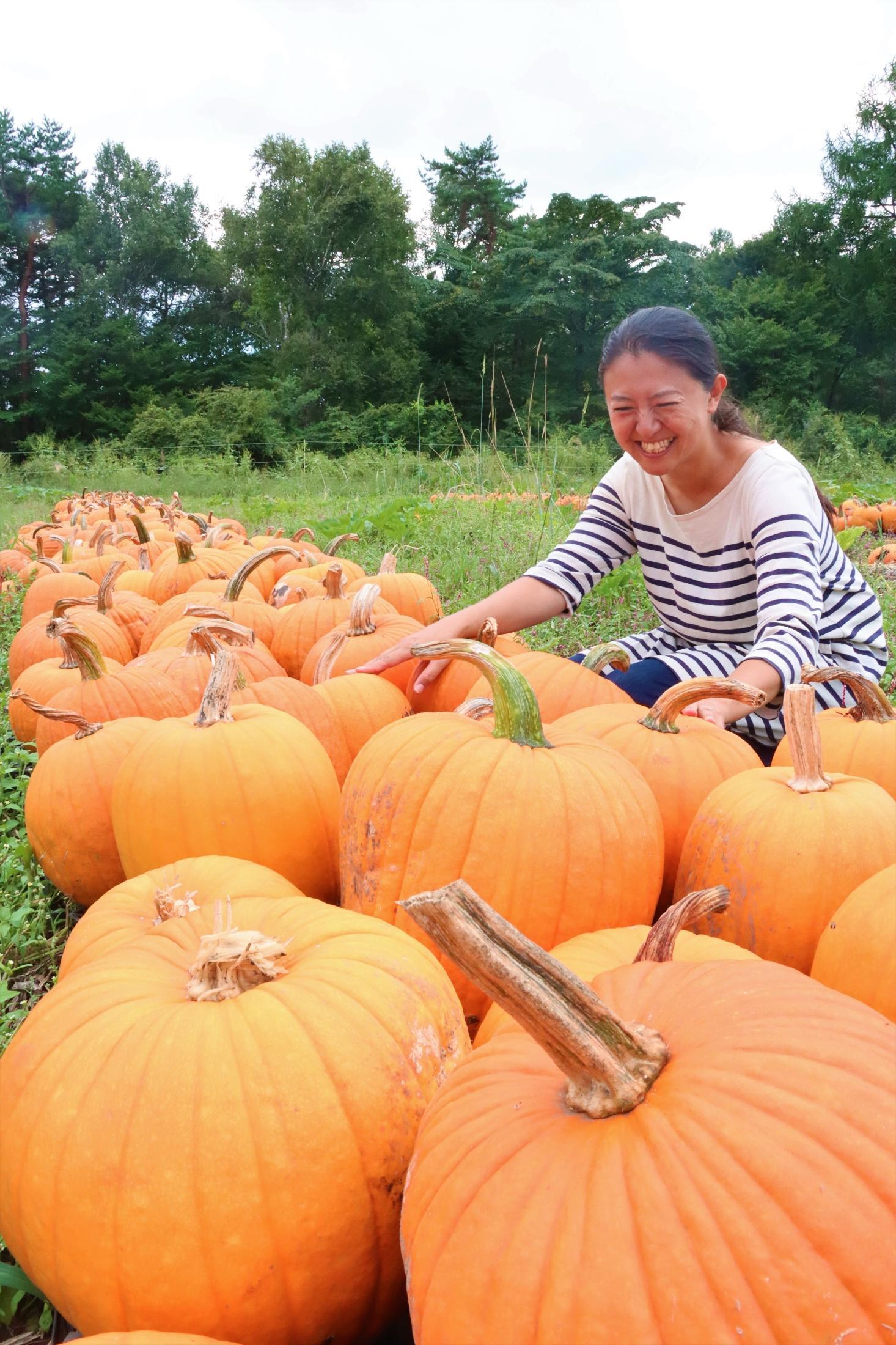 ハロウィンで用済みのカボチャ、処分に困った1万個が一転「奪い合い」に? 悩む農業学校に偶然現れた「救世主」  見つかった”おいしい”解決法（信濃毎日新聞デジタル） - Yahoo!ニュース