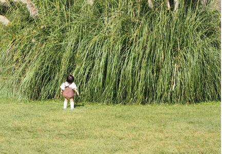 1歳児が見上げた先にある「巨大な草」の正体とは……「そういう名前なんだ！」「めっちゃでかい」(LIMO)