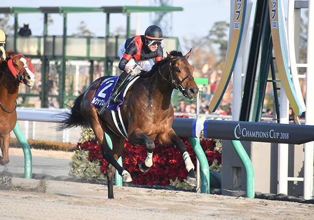 種牡馬として好スタートのルヴァンスレーヴ キャリア唯一のJRA・GI制覇（netkeiba） - Yahoo!ニュース