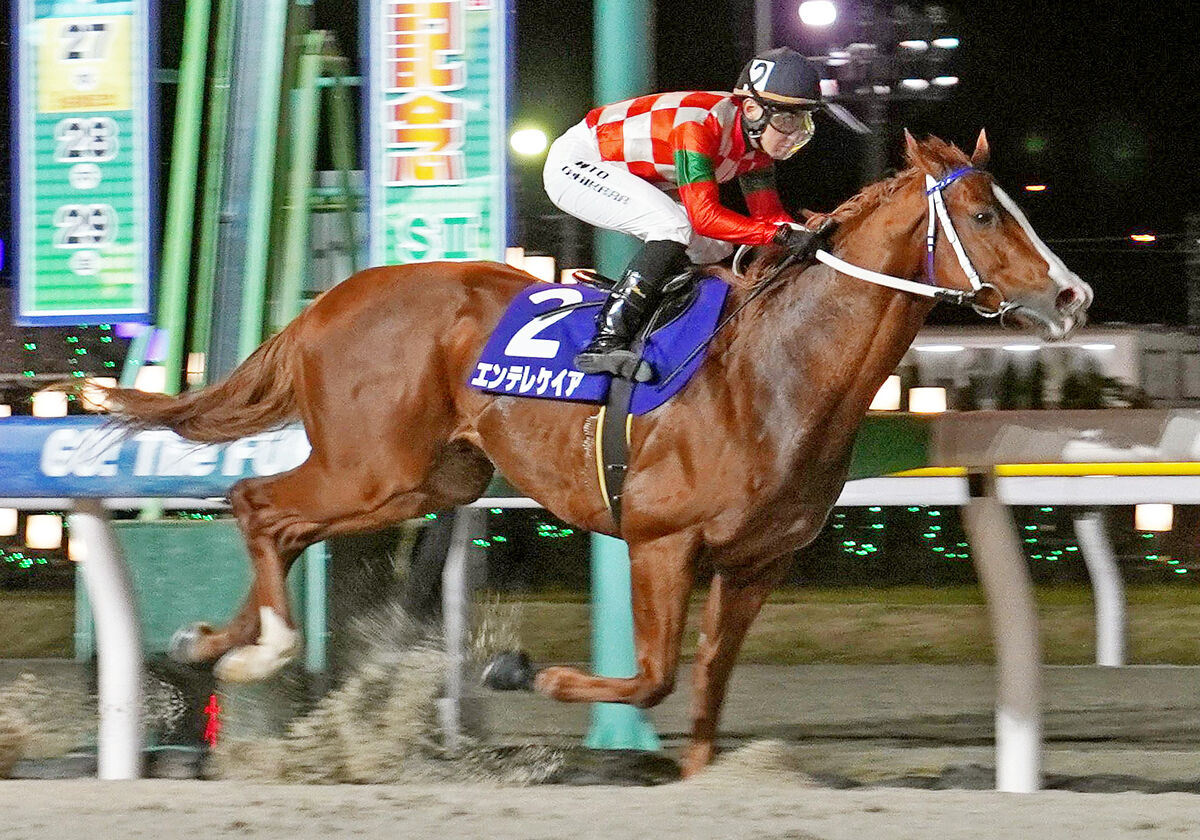 【船橋競馬・船橋記念（２７日）】エンテレケイア４馬身差圧勝で重賞３勝目（馬トク報知） - Yahoo!ニュース