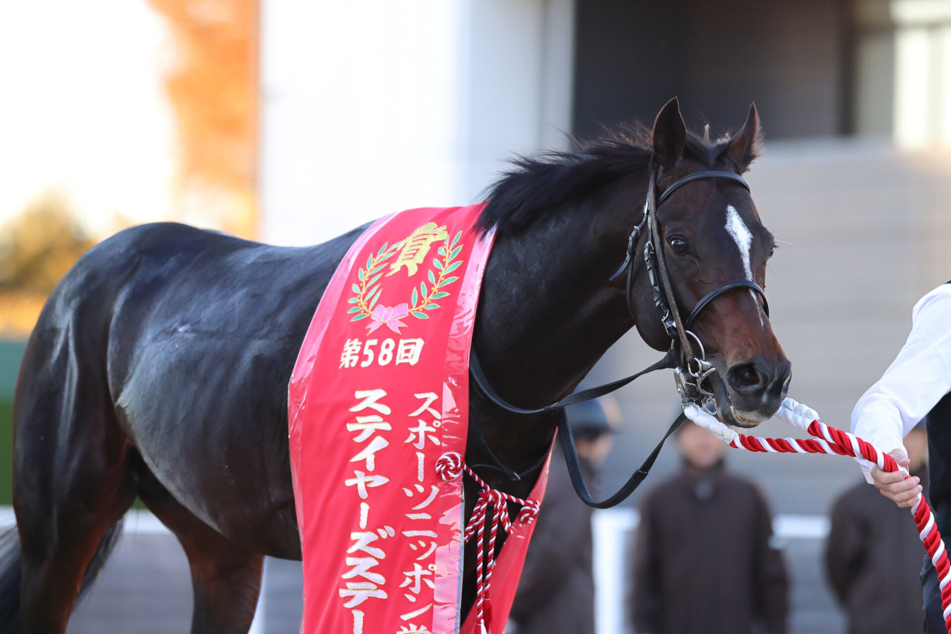 ステイヤーズS】北村友「どっちかわからなかった」シュヴァリエローズが大接戦を制する（競馬のおはなし） - Yahoo!ニュース