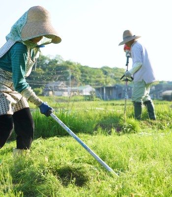 新聞配達員の仕事風景