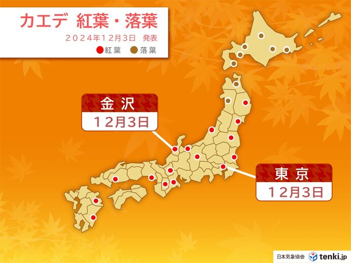 今日3日　東京・金沢でイロハカエデの紅葉　東京・甲府は過去最晩でイチョウの黄葉も（tenki.jp） - Yahoo!ニュース