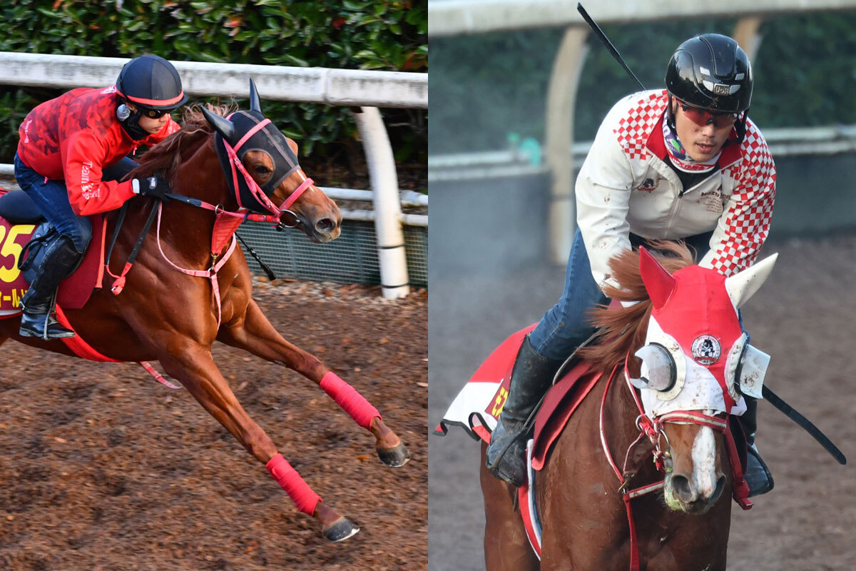 阪神ＪＦ・サイン馬券】ビートルズが教えてくれた３頭からの爆穴馬券を押さえるべし！（東スポ競馬） - Yahoo!ニュース