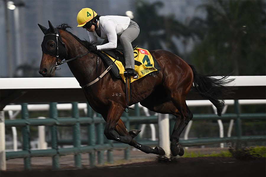 【香港スプリント みどころ】新怪物候補・カーインライジングが断トツ人気 日本馬3頭は牙城を崩すことができるか（テレ東スポーツ） - Yahoo!ニュース