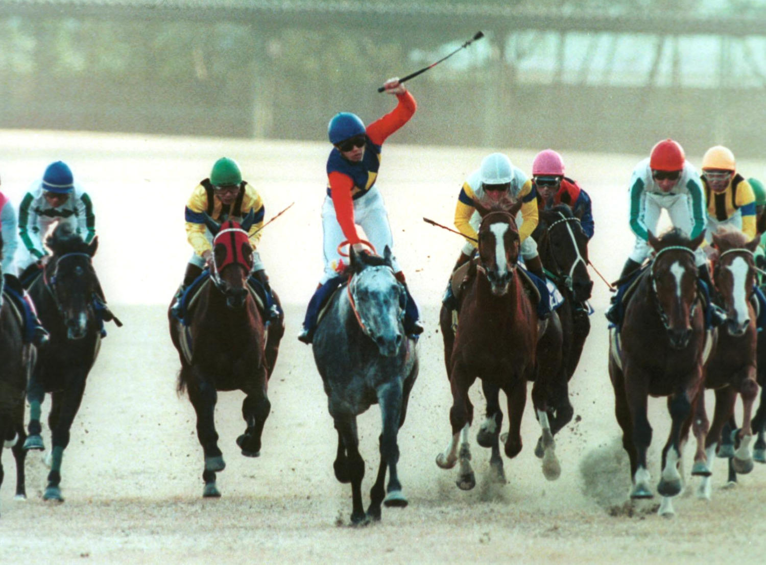 有馬記念】武豊騎手も登場 NHKがオグリキャップ引退レースに潜んだ“人間ドラマ”を放送（日刊スポーツ） - Yahoo!ニュース