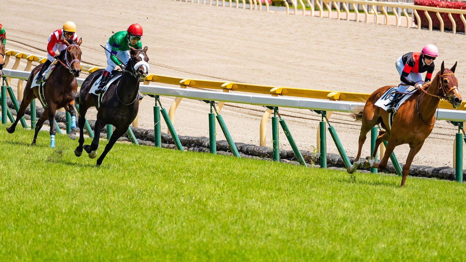 世界一の投資家ウォーレン・バフェットが競馬場で経験した“最悪の過ち”…「決めたルールは守り抜く」強い信念の根底にある、少年時代の苦い思い出とは（THE  GOLD ONLINE（ゴールドオンライン）） - Yahoo!ニュース