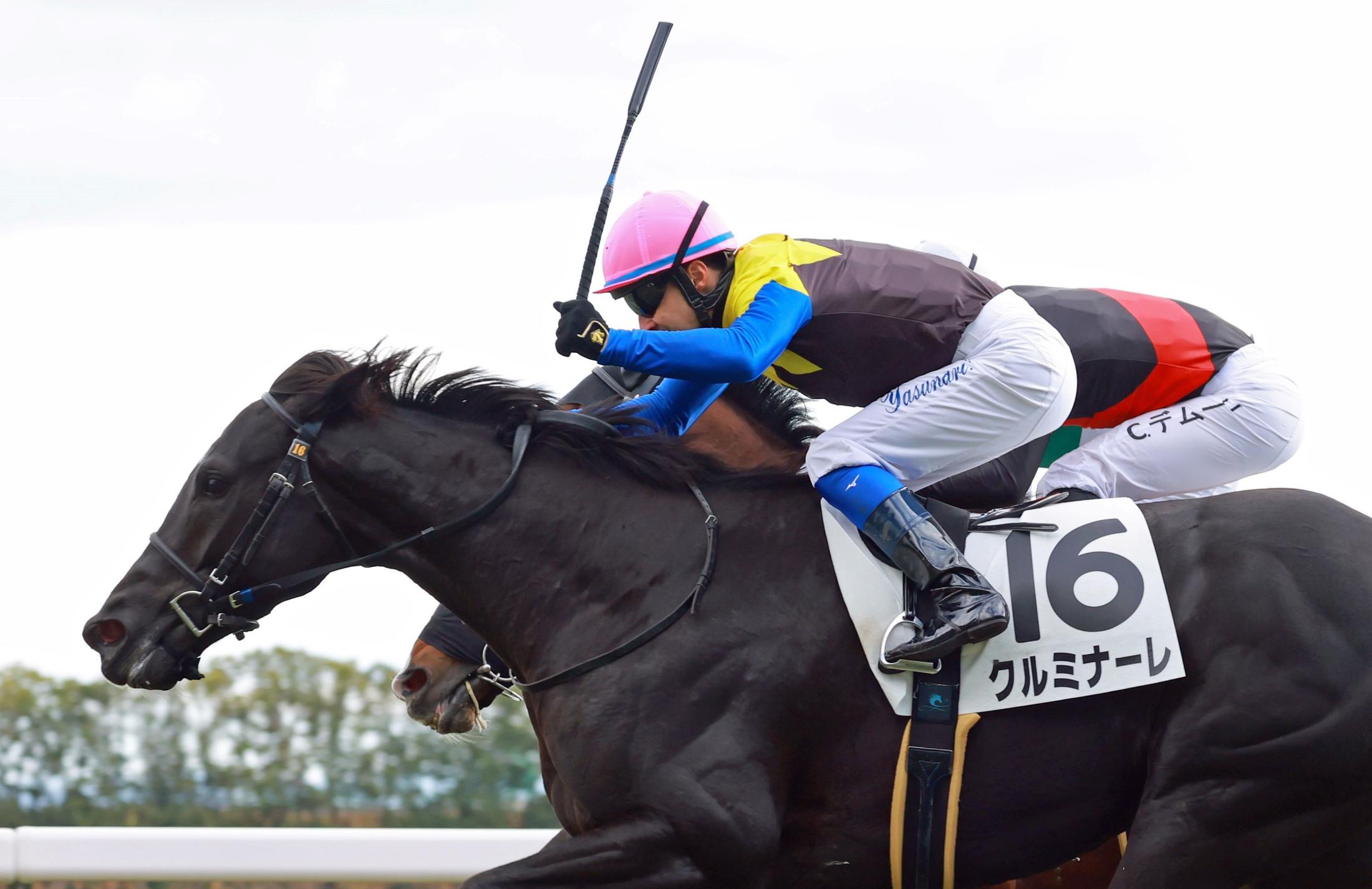 京都競馬場で騎乗停止になった岩田康誠のズボンを着用し、ルメール、坂井ら騎手がレースに出走（デイリースポーツ） - Yahoo!ニュース