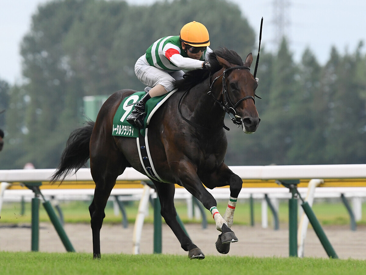 競馬予想】ＧＩ朝日杯FSは関西馬 過去データから浮上した２頭の穴馬が好配当を演出か!?（webスポルティーバ） - Yahoo!ニュース