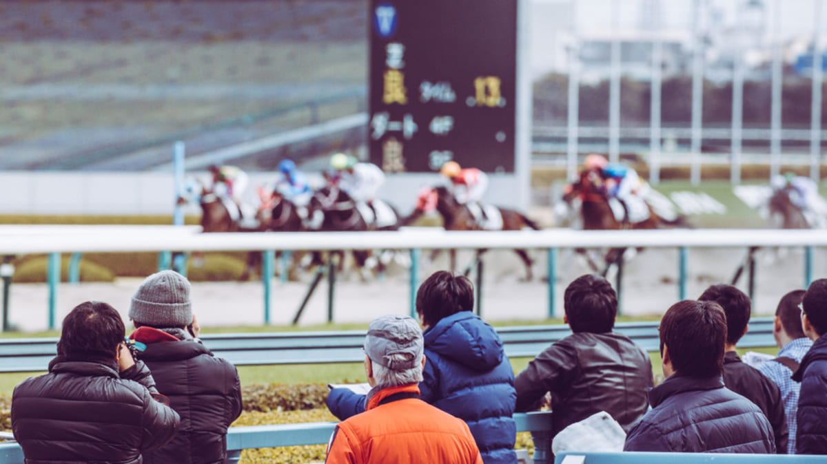 今年の有馬記念は中山競馬場で観戦します。ネットではなく現地で馬券を購入すれば、高額配当しても税務署にばれませんか？（ファイナンシャルフィールド） -  Yahoo!ニュース