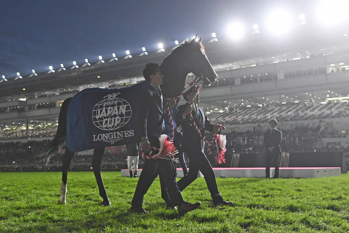 白井元調教師と学ぶ血統学【１６５】ついに連載もフィナーレ！競馬を愛する人に〝温故知新〟の喜びを（東スポ競馬） - Yahoo!ニュース