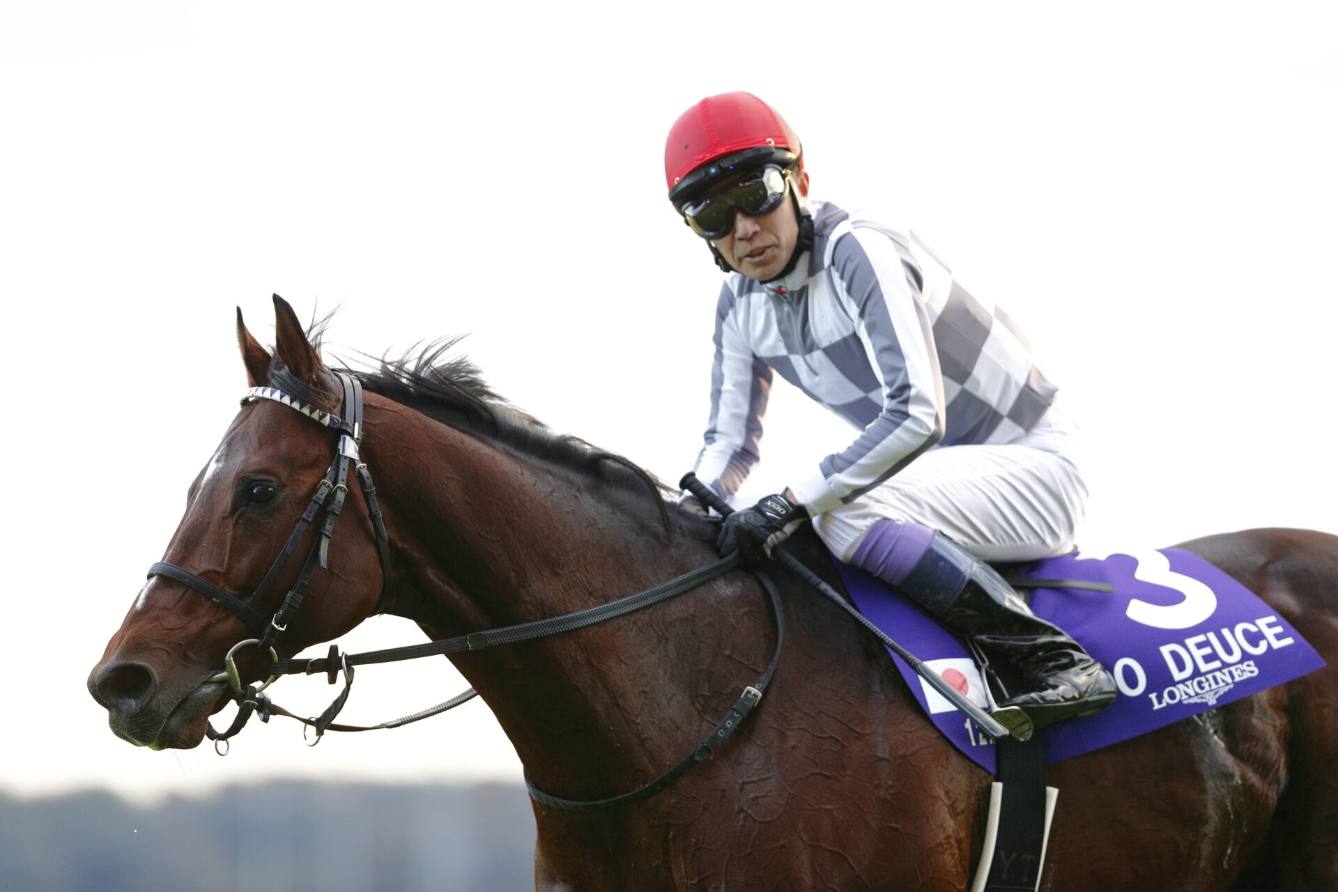 有馬記念】ドウデュースまさかの出走取消…松島オーナーが公式