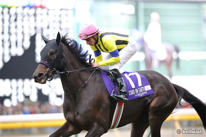 有馬記念(G1)まとめ】2022年12月25日に中山競馬場で開催