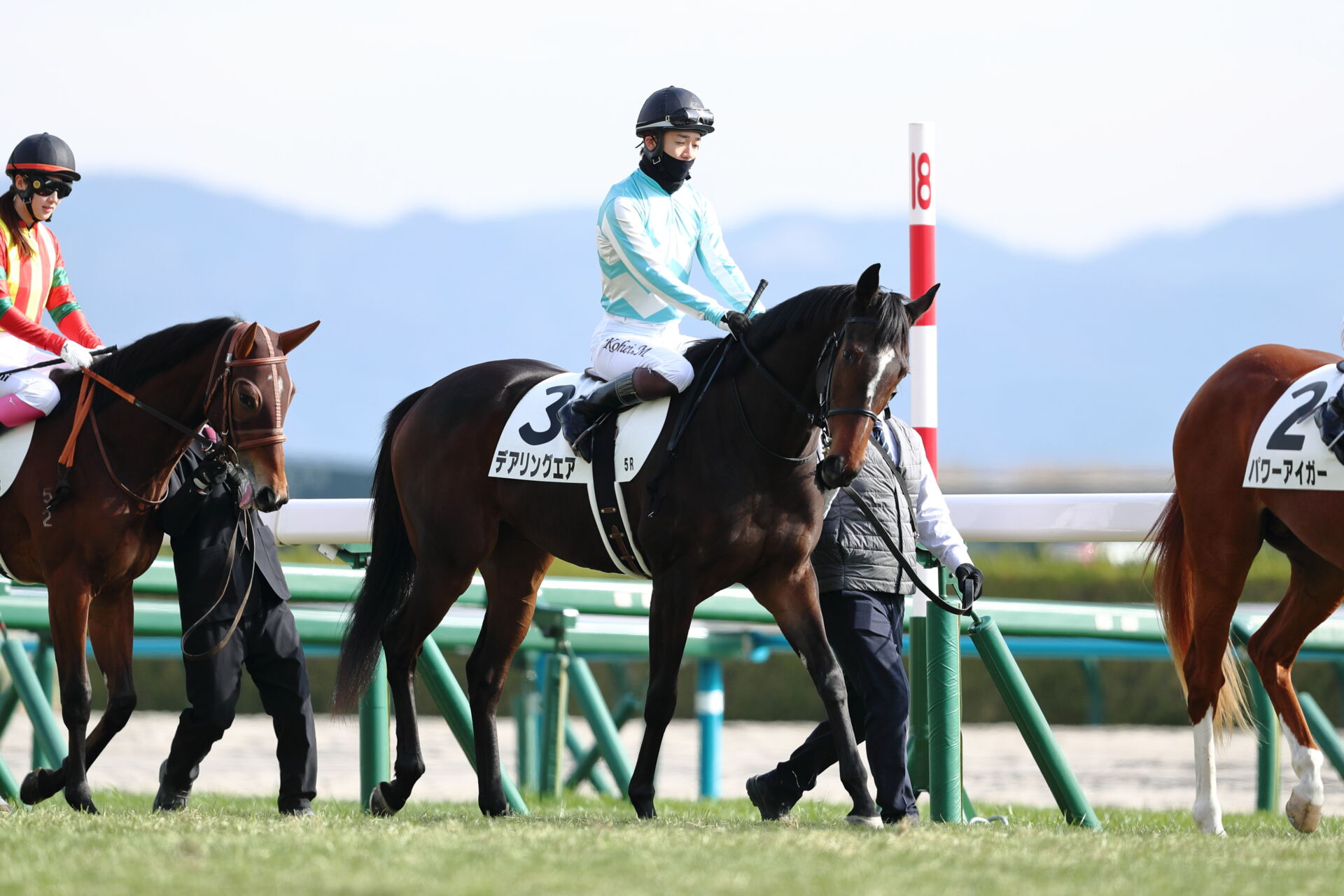 新馬/京都5R】三冠牝馬の妹デアリングエアの初陣は3着(競馬の 新馬/京都5R】三冠牝馬の妹デアリングエアの初陣は3着(競馬の
