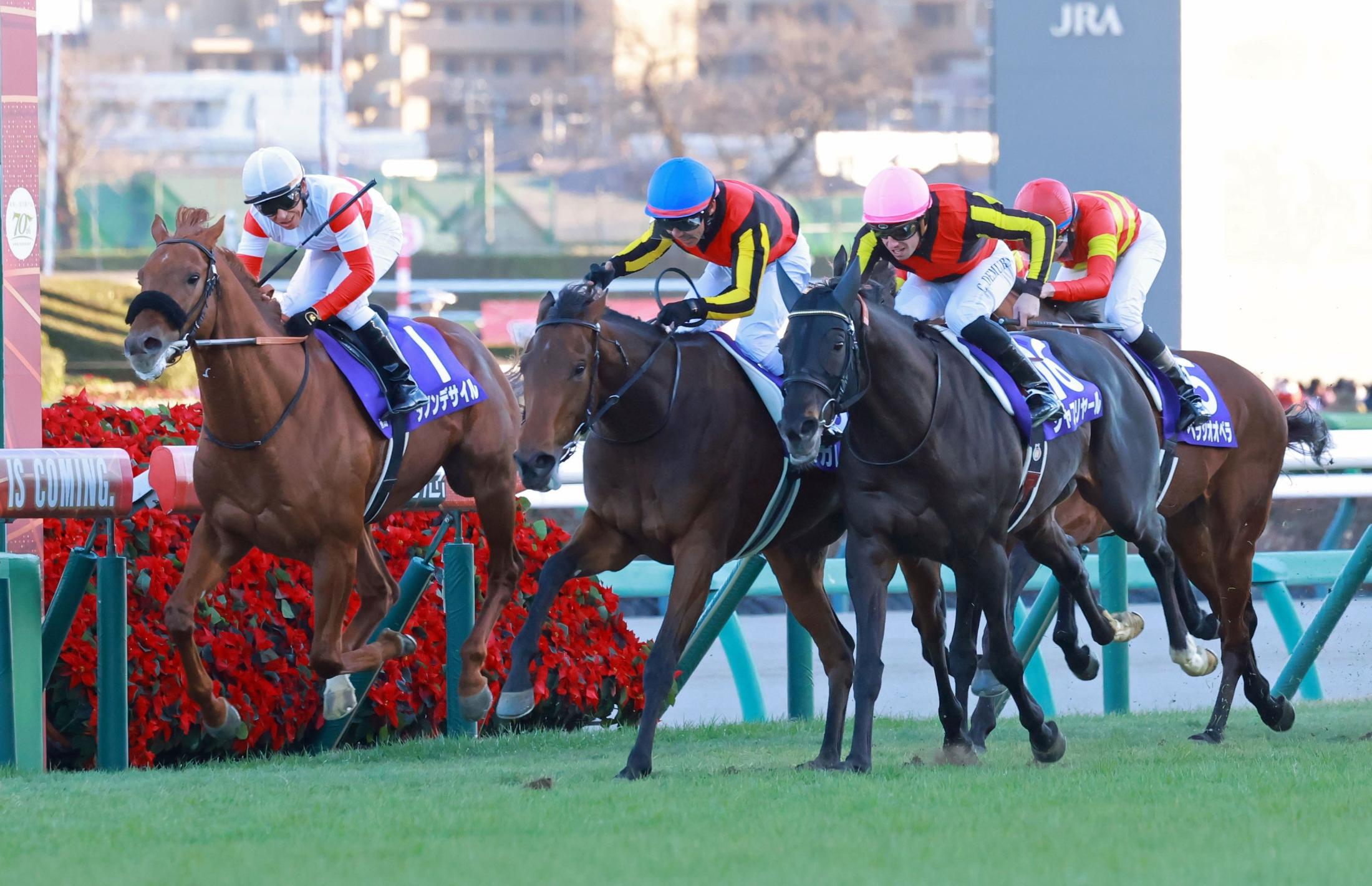 有馬Ｖレガレイラが右前脚を骨折　全治３カ月以上（デイリースポーツ） - Yahoo!ニュース