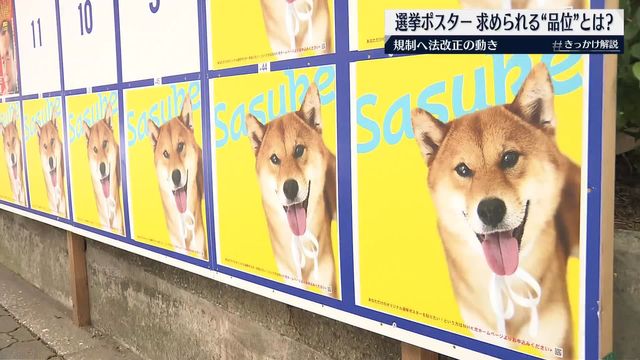 選挙ポスター　求められる“品位”とは何か？【＃きっかけ解説】（日テレNEWS NNN） - Yahoo!ニュース