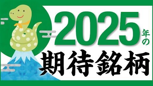 2025年はDC・電力関連が一層拡大！注目しておきたい9銘柄