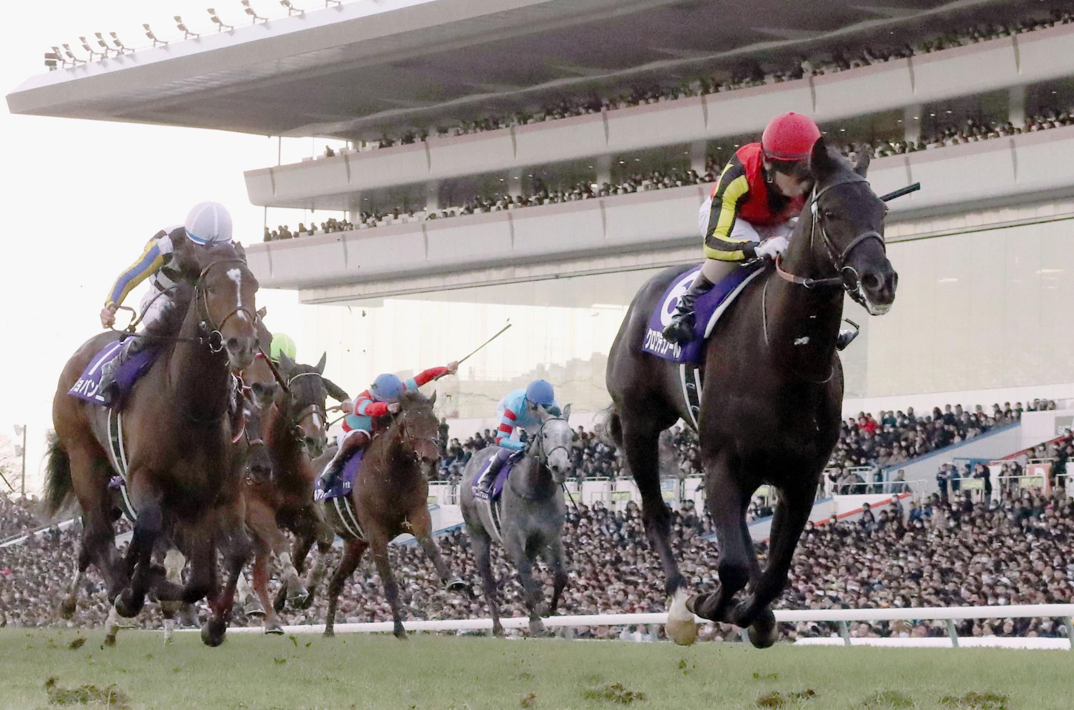 クロワデュノールがG1初制覇 競馬のホープフルステークス（共同