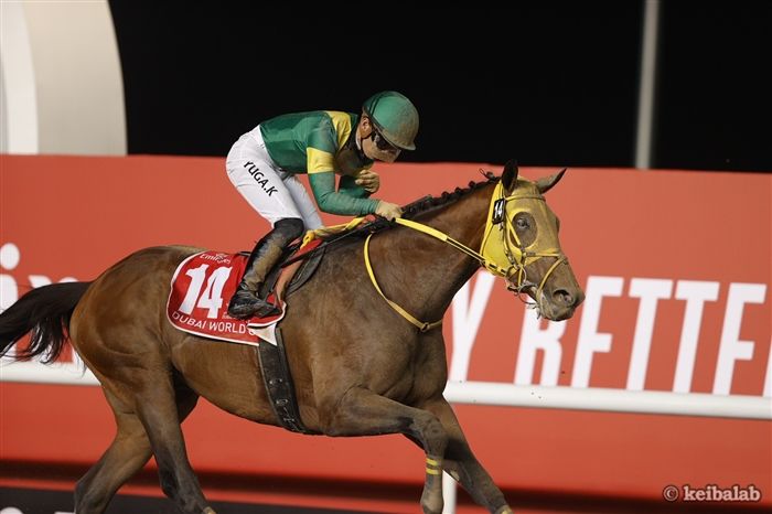 東京大賞典】昨年も勝ち馬ズバリ！四連覇オメガパフュームの再現