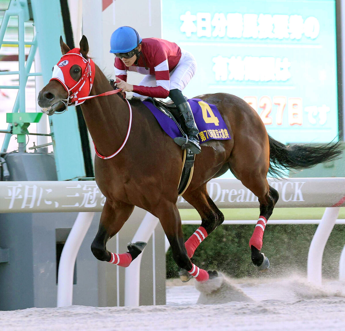 【東京大賞典】３歳フォーエバーヤングが坂井瑠星騎手と国内無双のＧ１級３勝目（馬トク報知） - Yahoo!ニュース