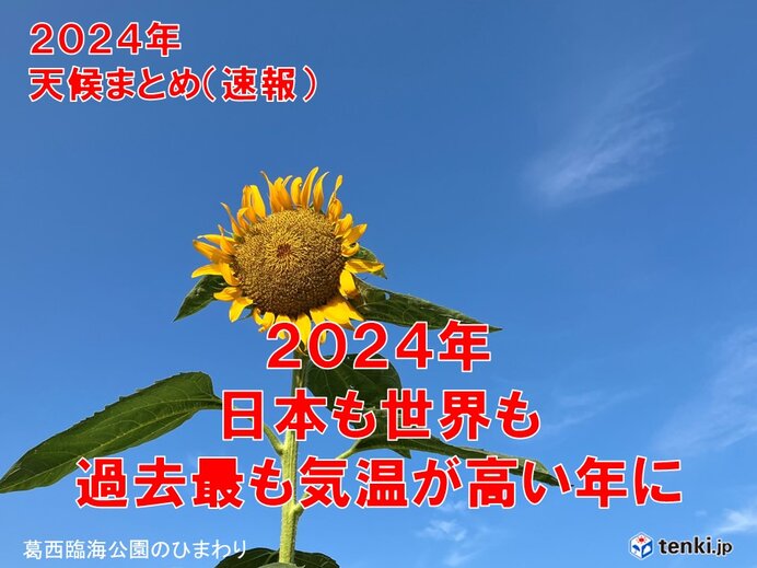 Web site image