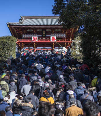 alt:荘厳な雰囲気の神社境内。木々に囲まれ、神聖な空気が漂う。