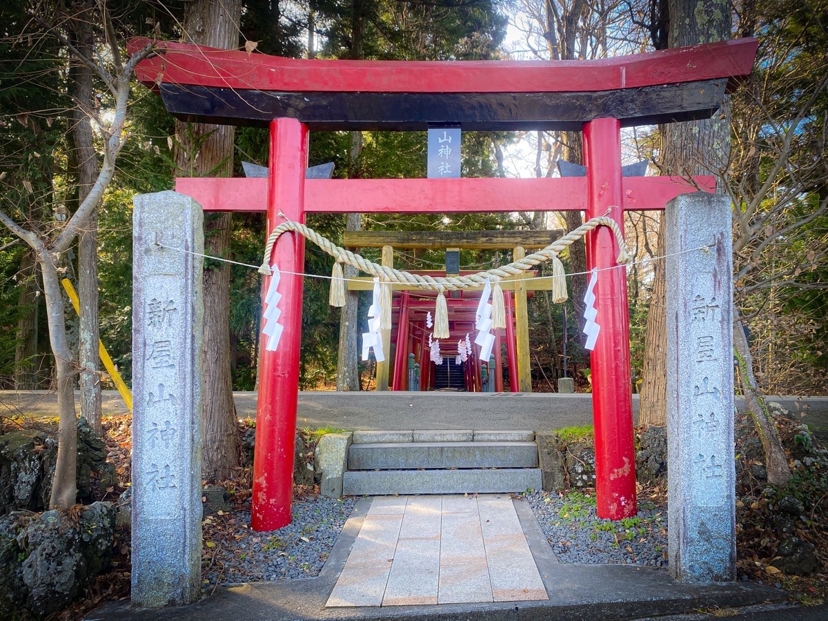 東京発！金運神社巡りでW参拝 金運神社と絶品グルメを楽しむ
