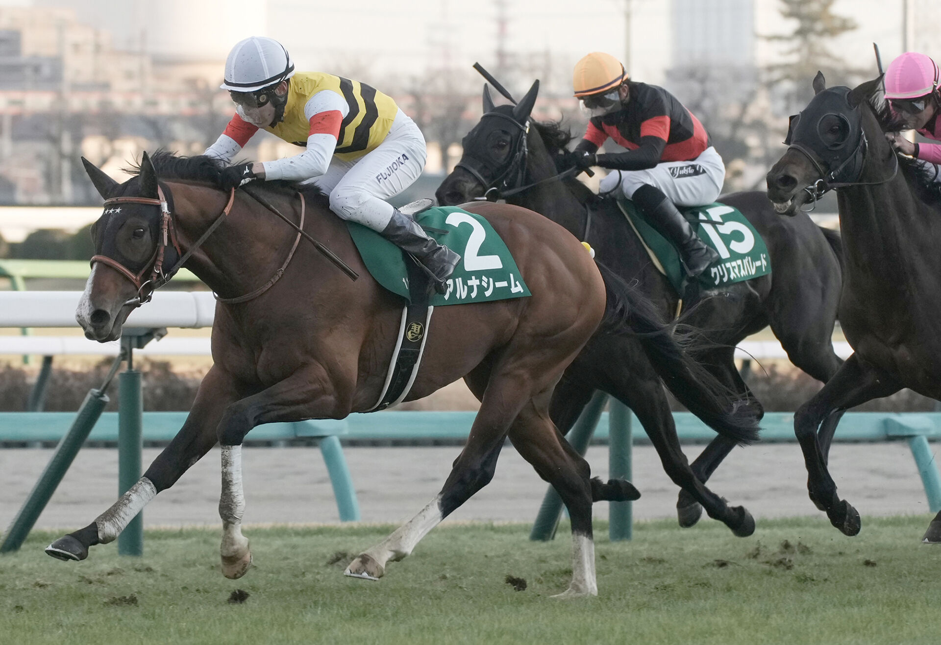 中山金杯】アルナシームが重賞2勝目…混戦から抜け出す（競馬のおはなし） - Yahoo!ニュース