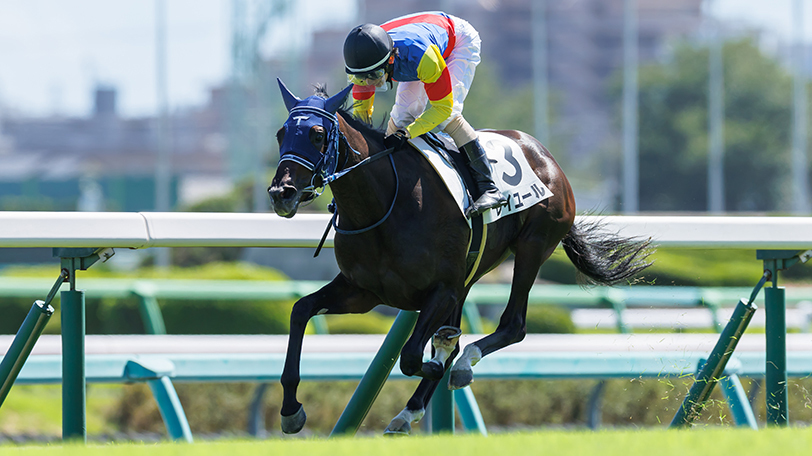 フェアリーS】高回収率の赤松賞組がやや優勢 レイユールは中山芝