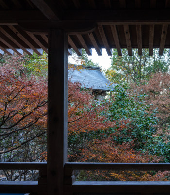 日本の伝統的な神社の鳥居