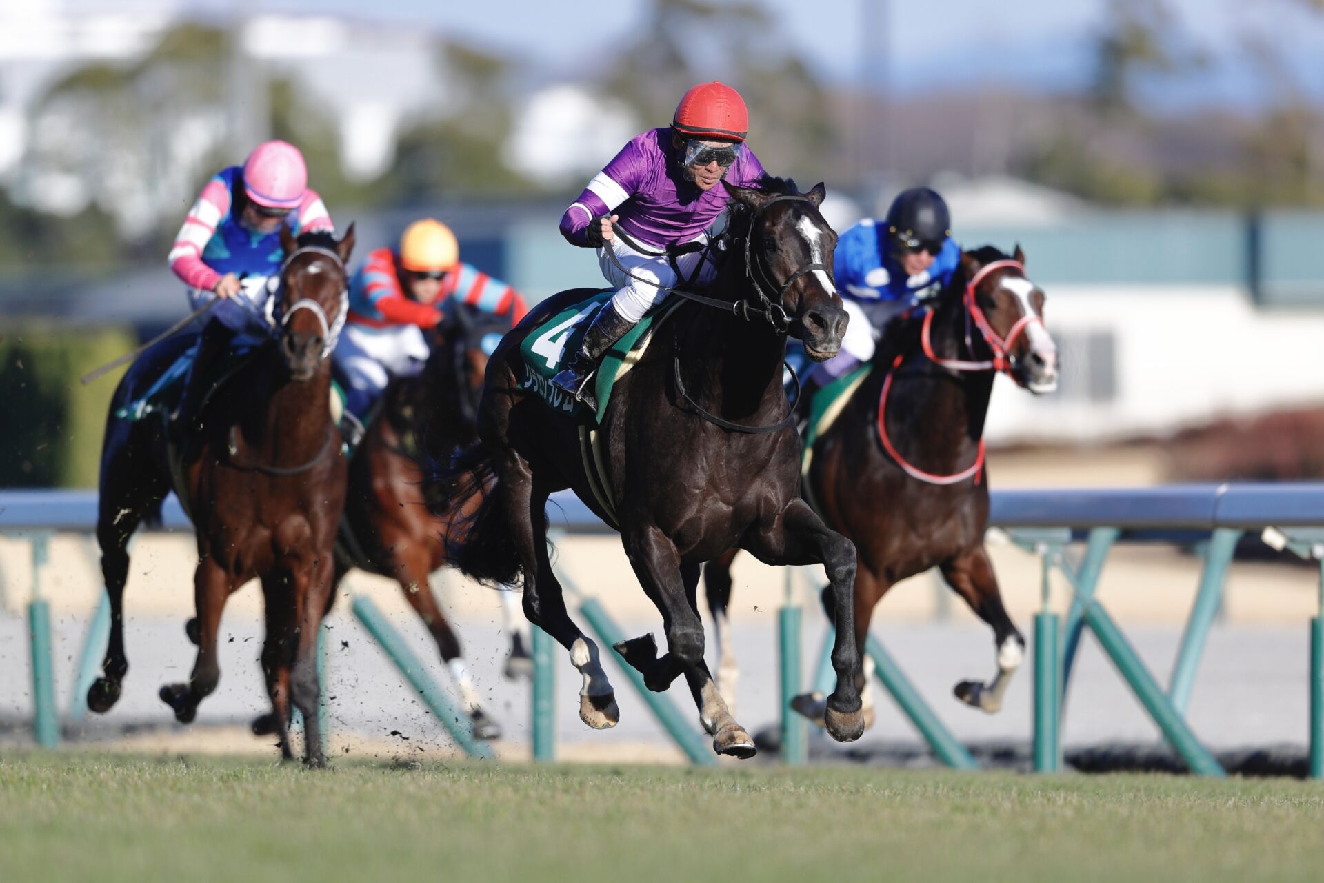 2024キズナ産駒 馬主の権利 合計13万円分 競馬 蹄 ゼッケン ムチ